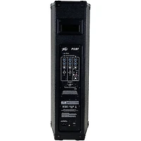 Peavey P2 BT All-in-One Portable PA System