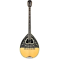 KNA BZ-1A Active Bouzouki Soundhole Humbucker Pickup