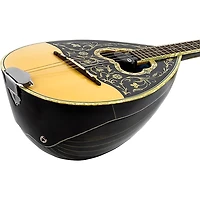 KNA BZ-1A Active Bouzouki Soundhole Humbucker Pickup