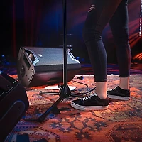 LD Systems ICOA 12 - 12" Passive Coaxial PA Loudspeaker