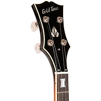 Restock Gold Tone OB-2 Bowtie Banjo Orange Blossom