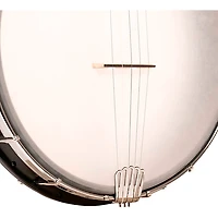 Gold Tone AC-12 12" A-Scale 5-String Openback Banjo Matte Black