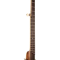 Gold Tone HM-100 High Moon Openback Banjo Mahogany Satin