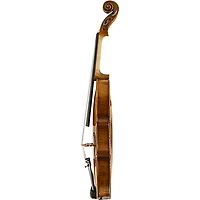 Scherl and Roth SR81G Guarneri Series Professional Violin Outfit 4/4