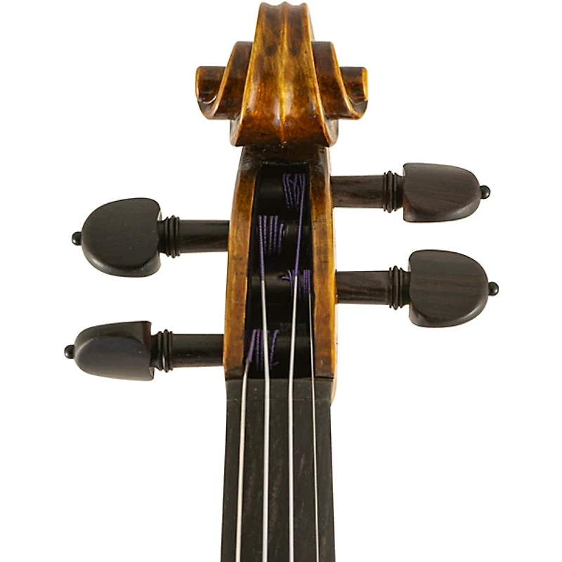 Scherl and Roth SR81G Guarneri Series Professional Violin Outfit 4/4