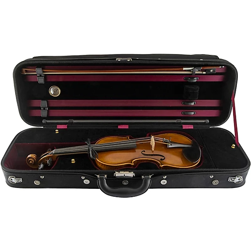 Scherl and Roth SR81G Guarneri Series Professional Violin Outfit 4/4