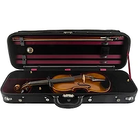 Scherl and Roth SR81G Guarneri Series Professional Violin Outfit 4/4