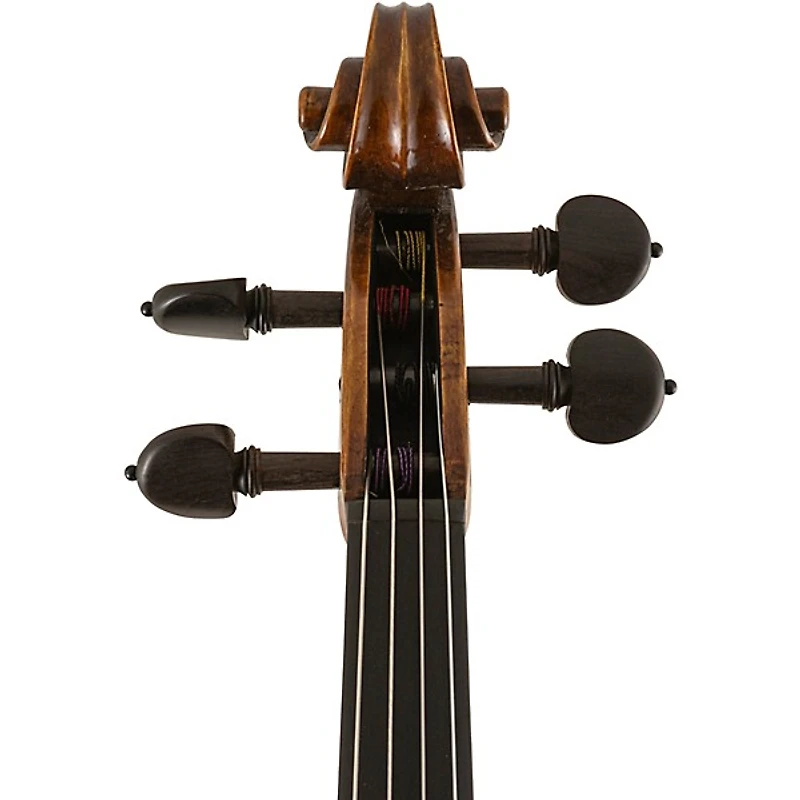 Scherl and Roth SR82 Stradivarius Series Professional Viola Outfit