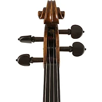 Scherl and Roth SR82 Stradivarius Series Professional Viola Outfit