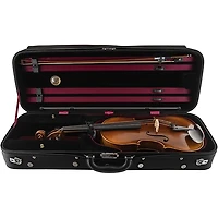 Scherl and Roth SR82 Stradivarius Series Professional Viola Outfit