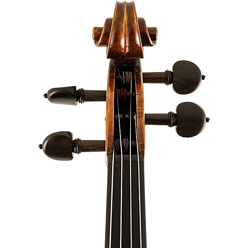 Scherl and Roth SR82 Stradivarius Series Professional Viola