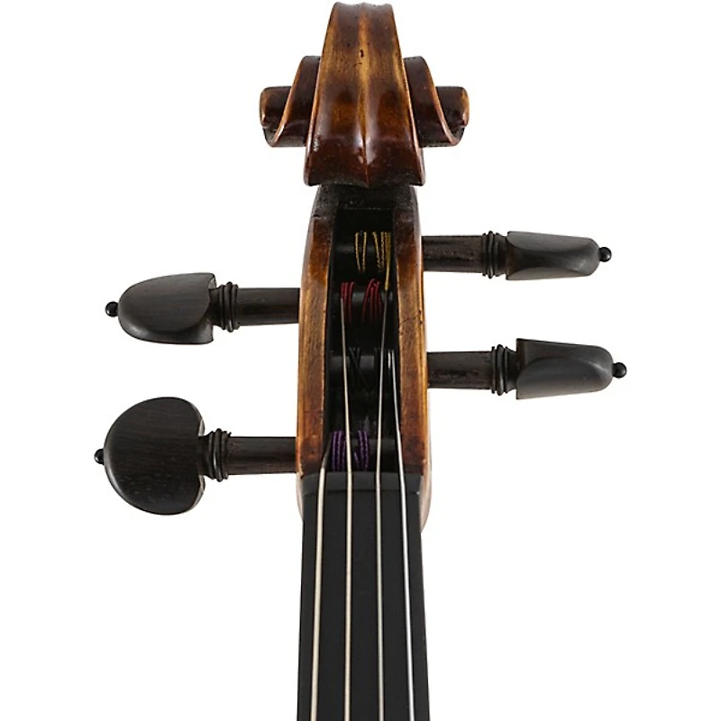 Scherl and Roth SR72 Series Professional Viola Outfit