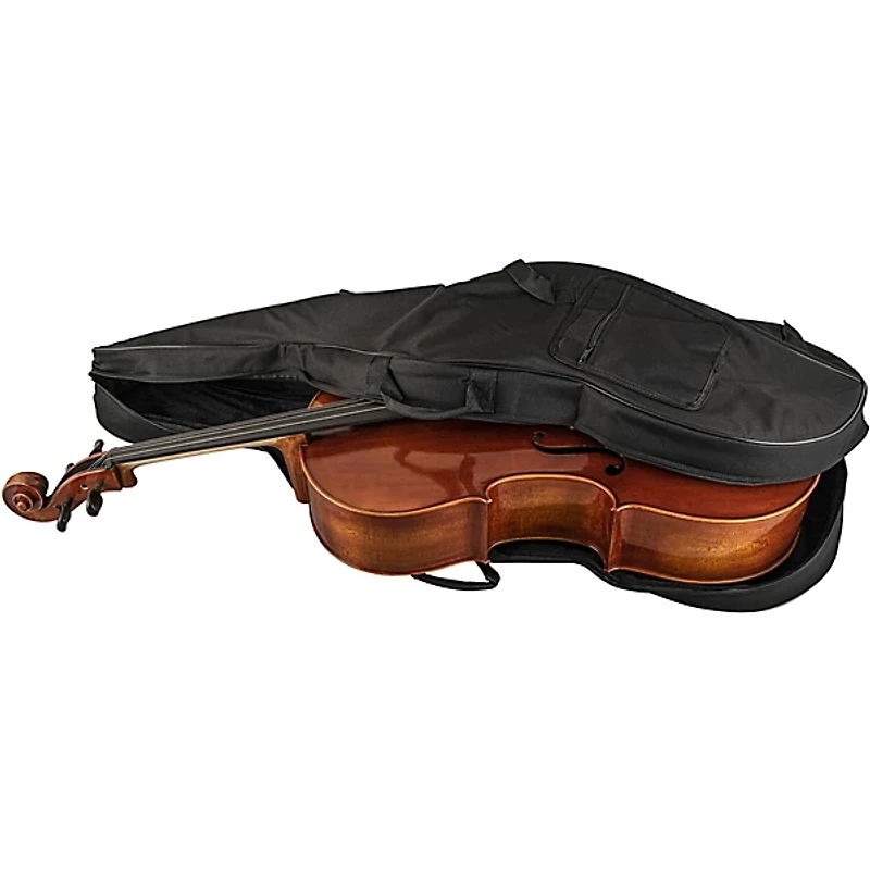 Scherl and Roth SR65 Sarabande Series Intermediate Cello Outfit 4/4