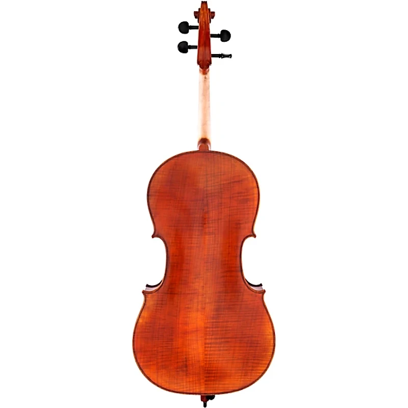 Scherl and Roth SR75 Series Professional Series Cello Outfit 4/4