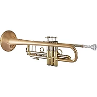 Bach 190 Stradivarius 65 Bell Dual Bore Series Professional Bb Trumpet