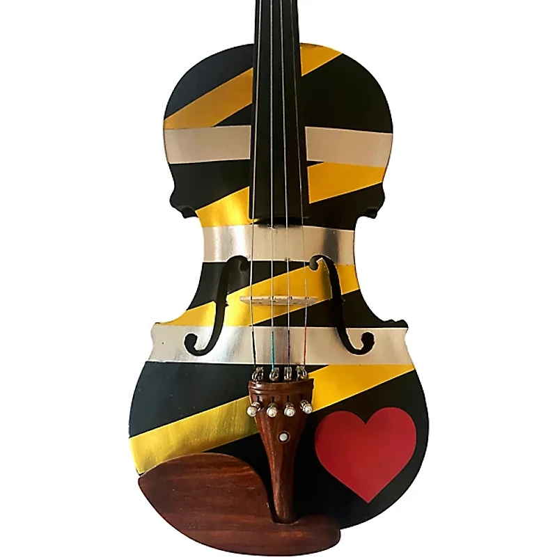 Rozanna's Violins Love Wrap Violin Outfit 4/4