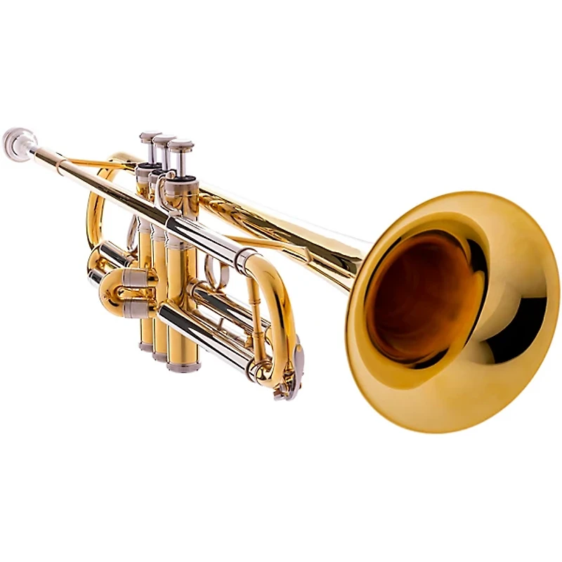 Blessing BTR-1660 Artist Series Professional Bb Trumpet Raw Brass Yellow Brass Bell