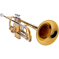 Blessing BTR-1660 Artist Series Professional Bb Trumpet Raw Brass Yellow Brass Bell