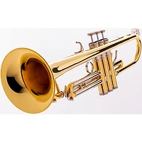 Blessing BTR-1660 Artist Series Professional Bb Trumpet Raw Brass Yellow Brass Bell