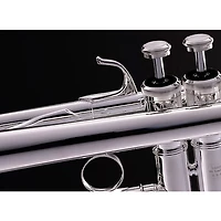 Blessing BTR-1660 Artist Series Professional Bb Trumpet