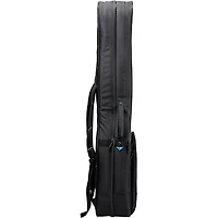Reunion Blues RBX Double Electric Bass Guitar Gig Bag