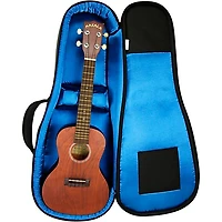 Reunion Blues RBX Concert Ukulele Gig Bag