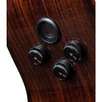 Breedlove Performer Pro Rosewood Concertina Acoustic-Electric Guitar Aged Toner