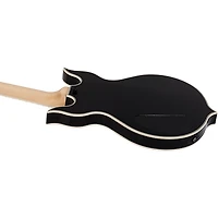 Wylde Audio Heathen Grail Electric Guitar Tortoise Black Blizzard