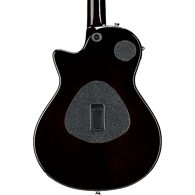 Taylor T5z Pro Acoustic-Electric Guitar