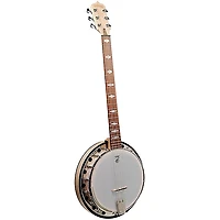 Deering Goodtime Six-R 6-String Resonator Banjo