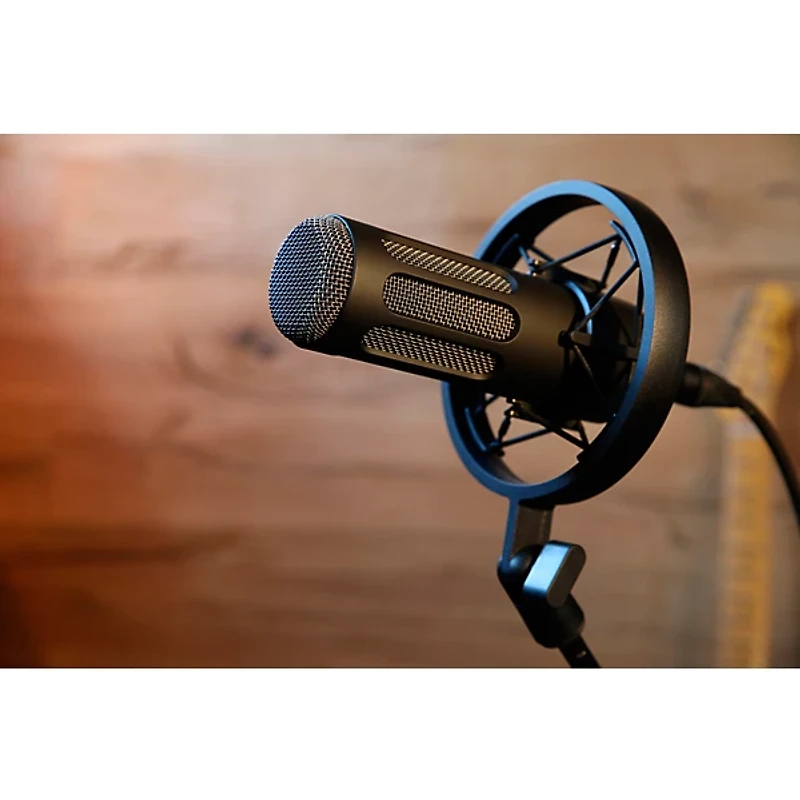 beyerdynamic M 70 PRO X Microphone