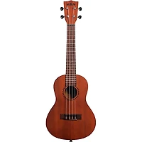Kala Learn To Play Concert Ukulele Starter Kit