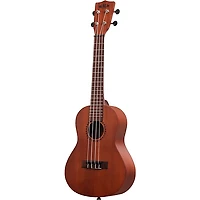 Kala Learn To Play Concert Ukulele Starter Kit