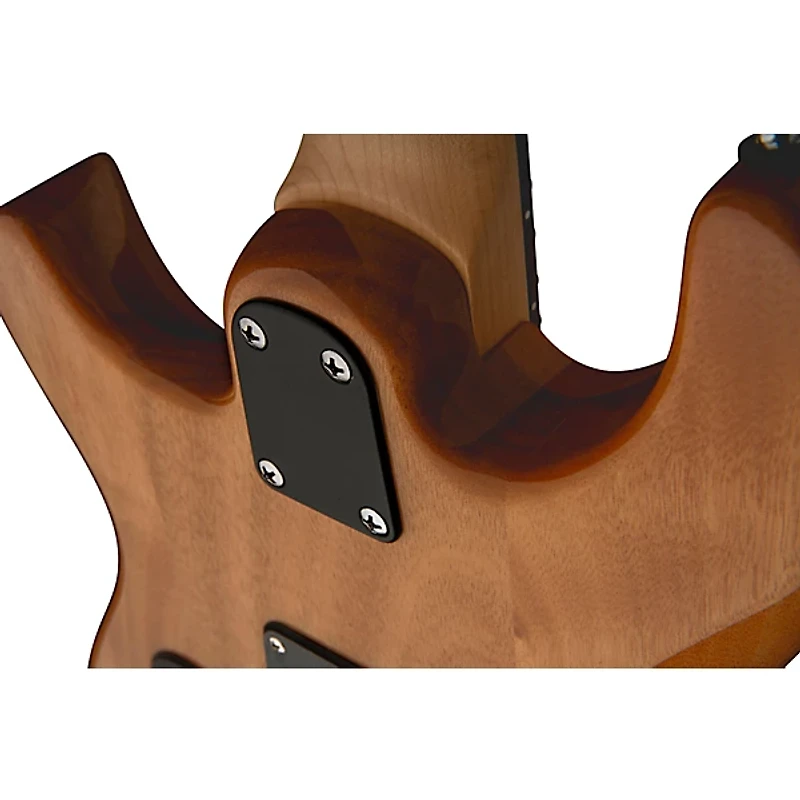 PRS SE CE24 Electric Guitar