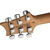 PRS SE CE24 Electric Guitar