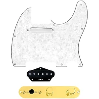 920D Custom Texas Grit Loaded Pickguard for Tele With T3W-G Control Plate