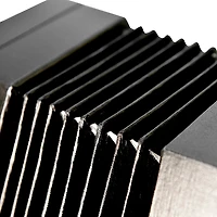 Trinity College AP-1130A Anglo-Style 30-Button Concertina Black