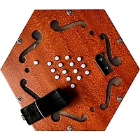 Trinity College AP-2230A English-Style 30-Button Concertina Light Brown