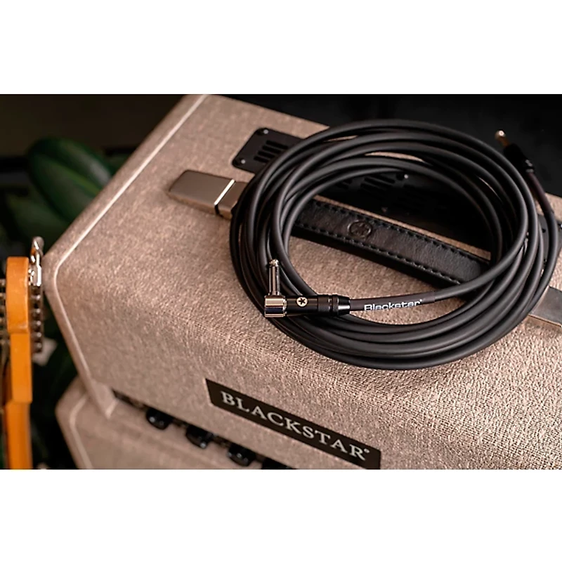 Blackstar Professional Straight to Angle Cable