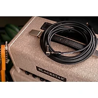 Blackstar Professional Straight to Angle Cable