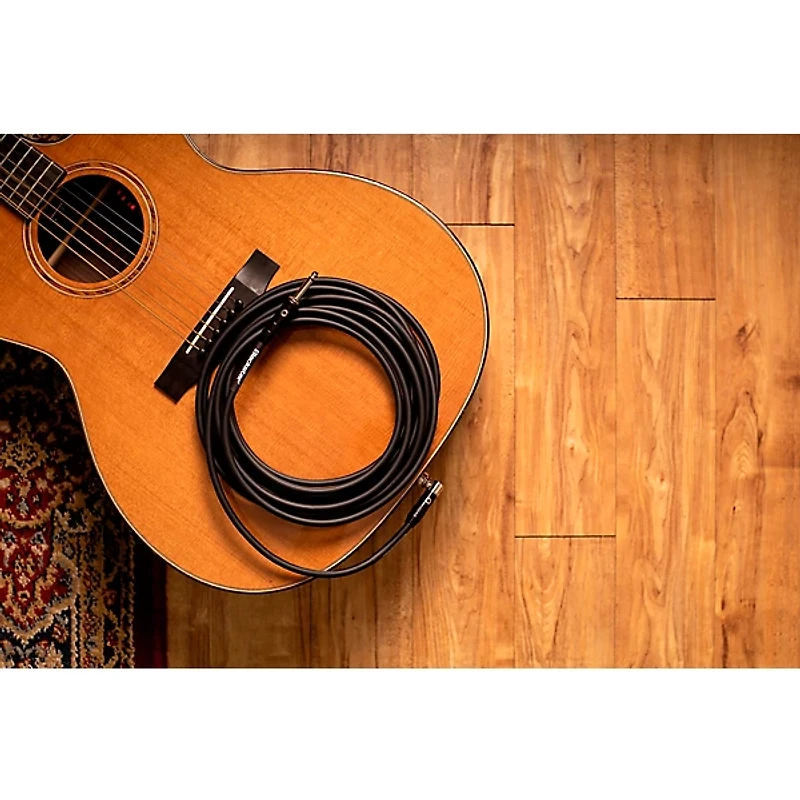 Blackstar Professional Straight to Angle Cable