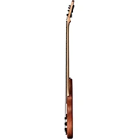 Tobias Killer B V 5-String Bass Satin Natural