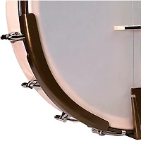 Deering Americana Open-back Banjo