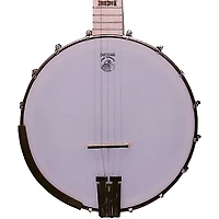 Deering Goodtime Open-Back Banjo