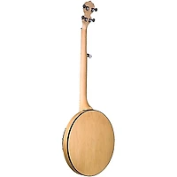 Deering Goodtime Two Resonator Banjo