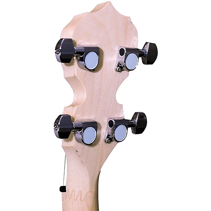 Deering Goodtime Two Resonator Banjo