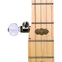 Deering Goodtime Two Resonator Banjo