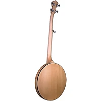 Deering Goodtime Special Resonator Banjo