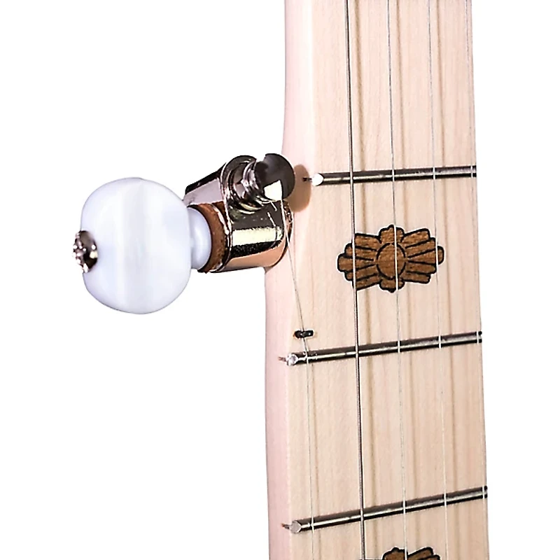 Deering Goodtime Special Resonator Banjo