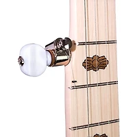 Deering Goodtime Special Resonator Banjo